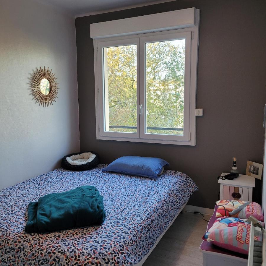 Charmant Appartement A Deux Pas Du Centre Historique Quimper Dış mekan fotoğraf
